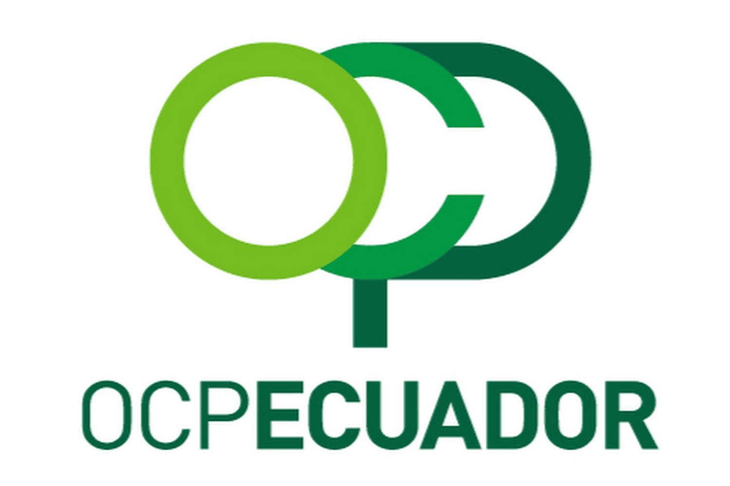 Cliente 028